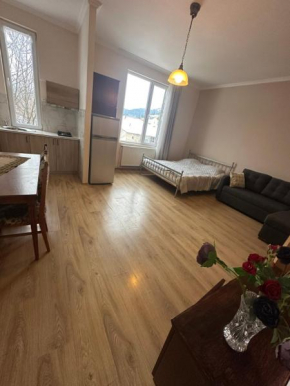 Tuz House R6 Bakuriani